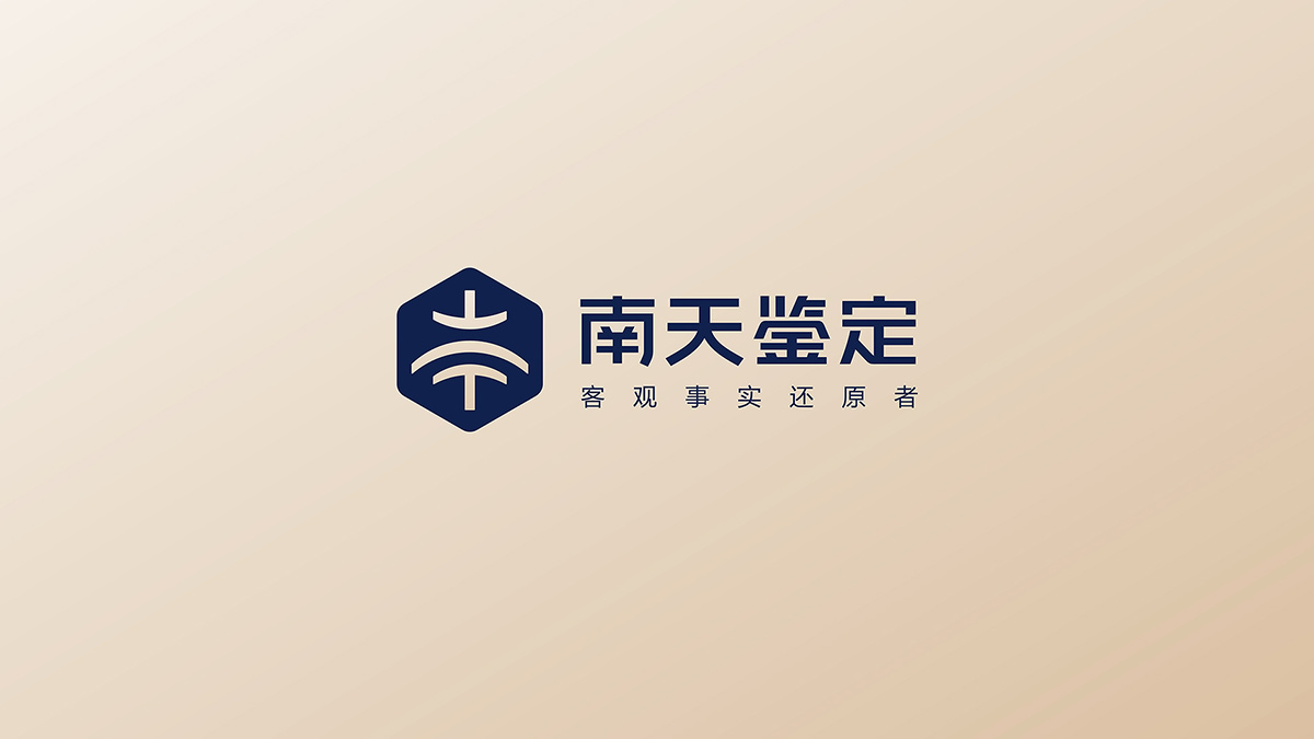 鑒定行業(yè)標(biāo)志設(shè)計(jì)