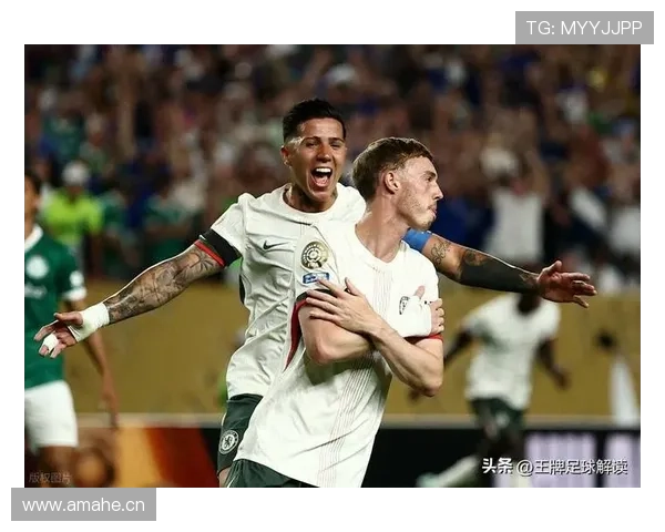 帕尔默能否进入主力阵容 适配性与竞争力深度解析